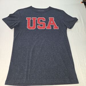 Mens American Eagle Outfitters Blue USA Graphic Tee Size XS. TTCP